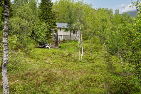 Vintertun 25, Skare