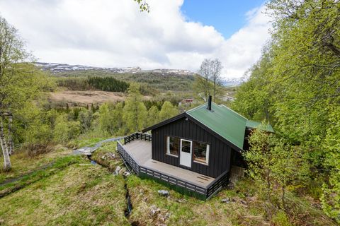 Korlevoll 30, Skare
