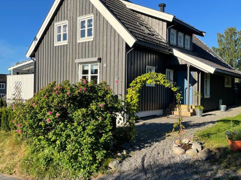 Bilde 1 av annonsen