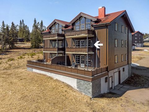 Fageråsen 983D, Trysil