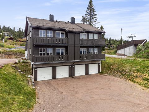 Fageråsen 957 A, Trysil