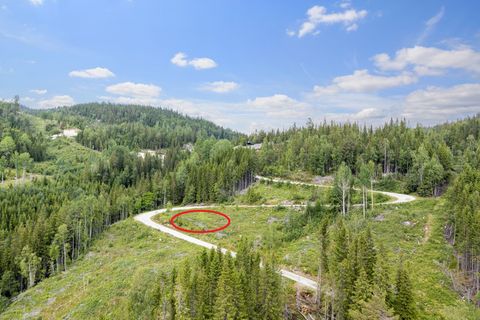 Veltevegen, Flå