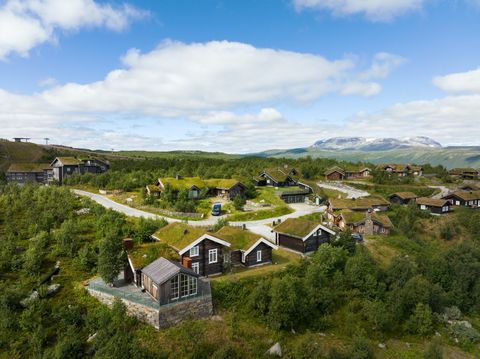 Tjødnlie 517, Geilo