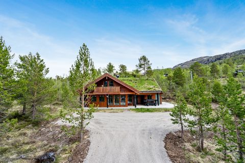 Hartevassvegen 56, Hovden i Setesdal