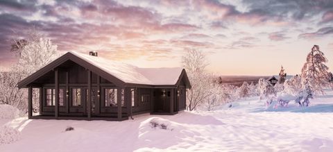 Fagerhaugtoppen, Oppdal