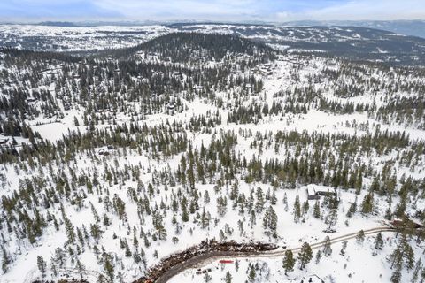Høggerudsetre/Votnedalen, Veggli