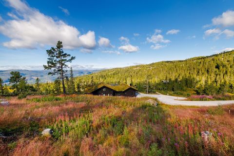 Teigeveien 93, Eggedal