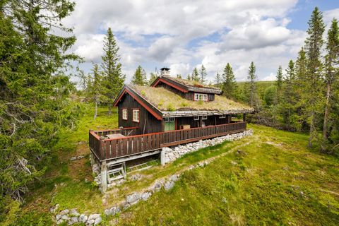 Skaresetran 83, Eggedal