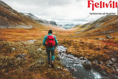 Tomter Vegglifjell, Veggli