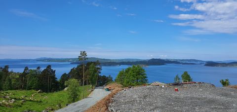 Lysåsen 3, Fister