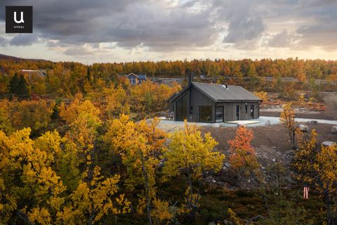 Viddevegen 472, Uvdal
