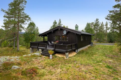 Staulsvegen 3, Rauland