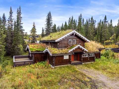 Fageråsen 352 B, Trysil