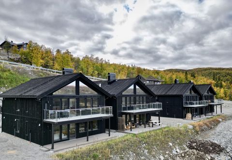 Viddevegen 374C, seksjon 4, Uvdal