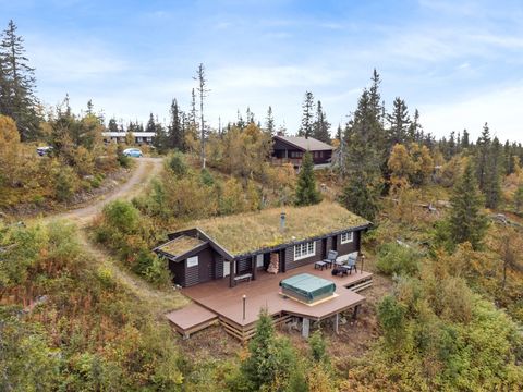 Fageråsen 487, Trysil