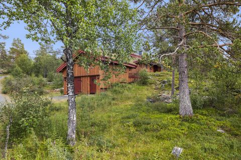 Furuvegen 1, Rauland
