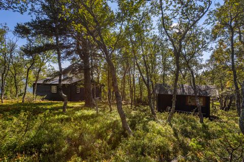Stubblivegen 155, Oppdal