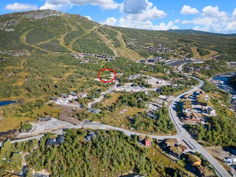 Dyregrenda Sør, Hovden i Setesdal