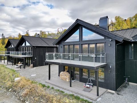 Viddevegen 374B, seksjon 6, Uvdal