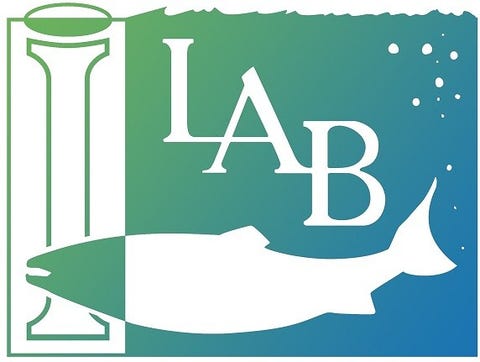 Stiftelsen Industrilaboratoriet (ILAB) logo