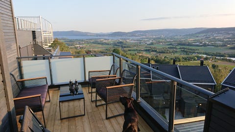 Bilde 1 av annonsen