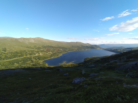 Bilde 1 av annonsen