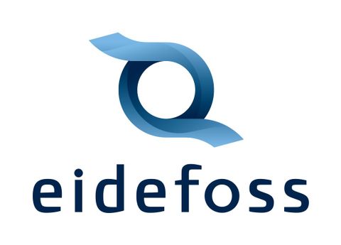 AS Eidefoss logo