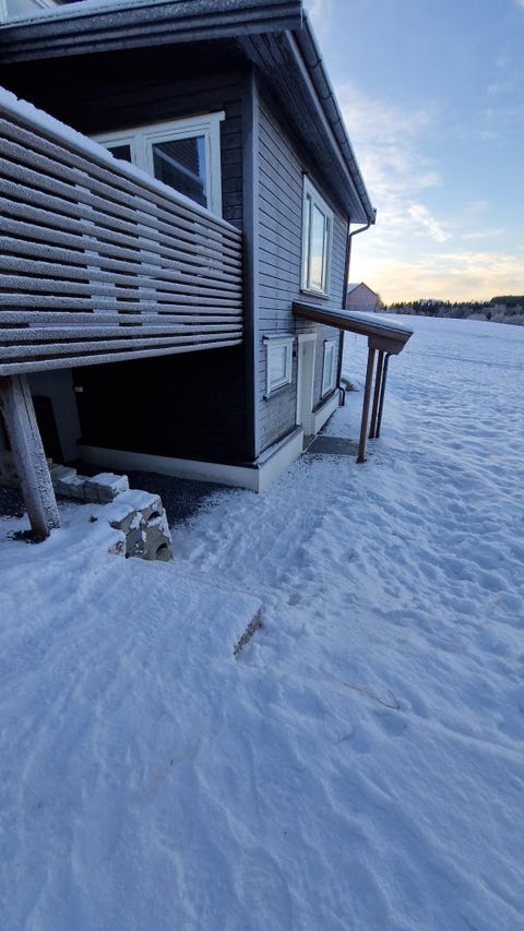 Bilde 1 av annonsen