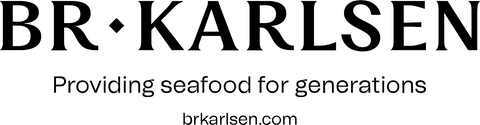 BR Karlsen AS logo