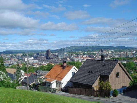 Bilde 1 av annonsen