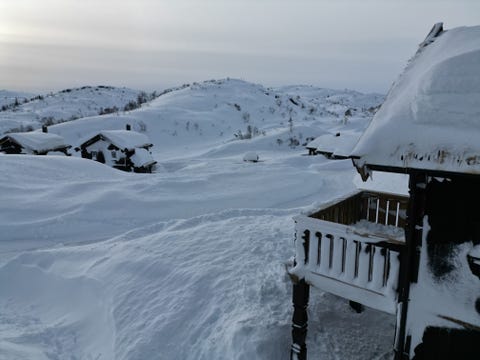 Bilde 1 av annonsen