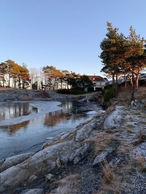 Bilde 1 av annonsen