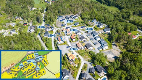 Bilde 1 av annonsen