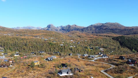 Bilde 1 av annonsen