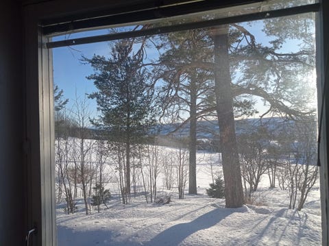 Bilde 2 av annonsen