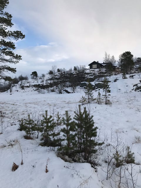 Bilde 1 av annonsen