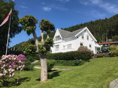 Bilde 1 av annonsen