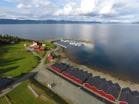 Bilde 1 av annonsen