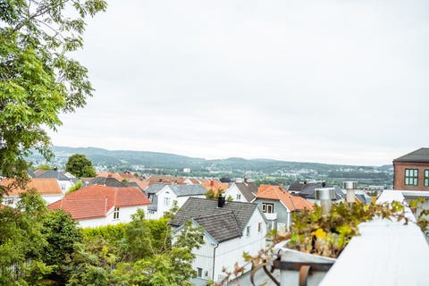 Bilde 2 av annonsen