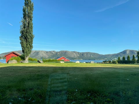 Bilde 2 av annonsen