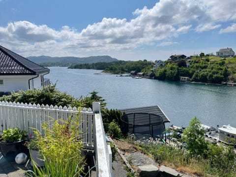 Bilde 2 av annonsen