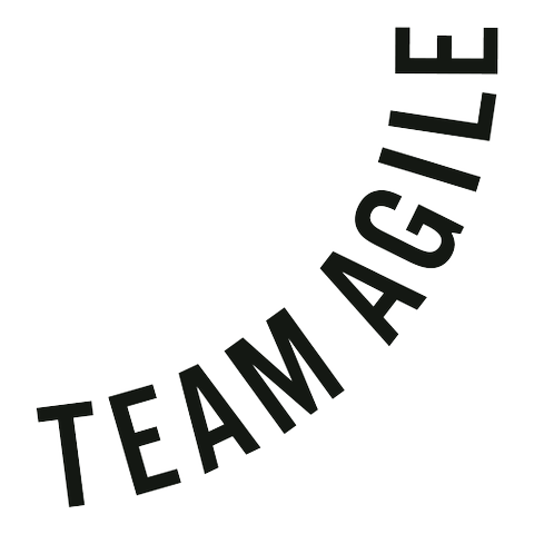 Team Agile AS logo