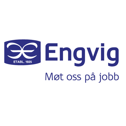 Einar Engvig AS logo