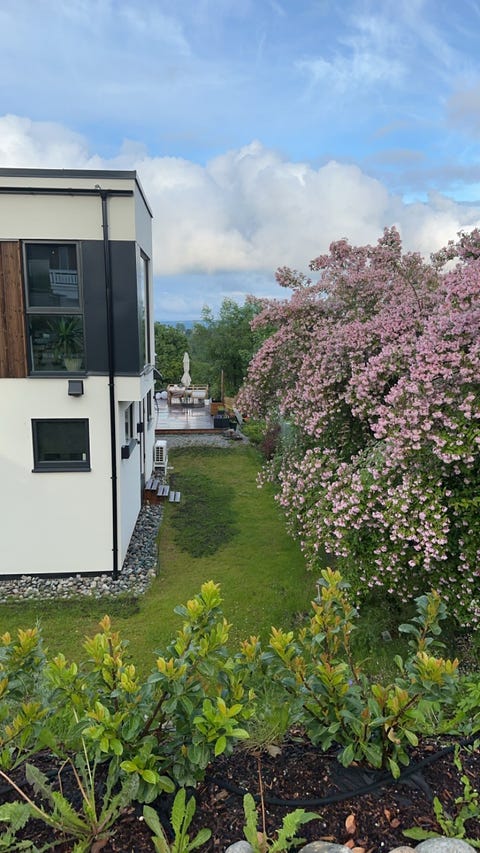 Bilde 2 av annonsen
