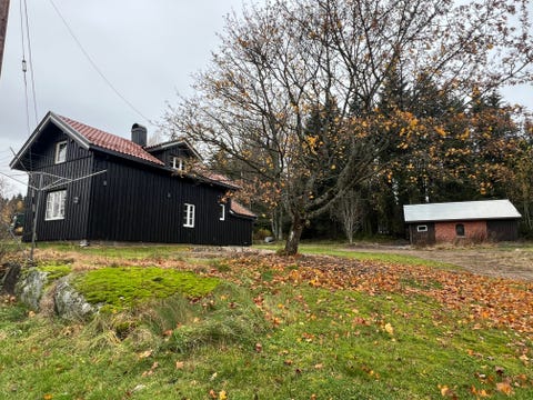 Bilde 2 av annonsen