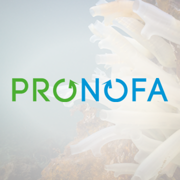 Pronofa Møre AS logo