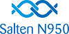 Salten N950 logo