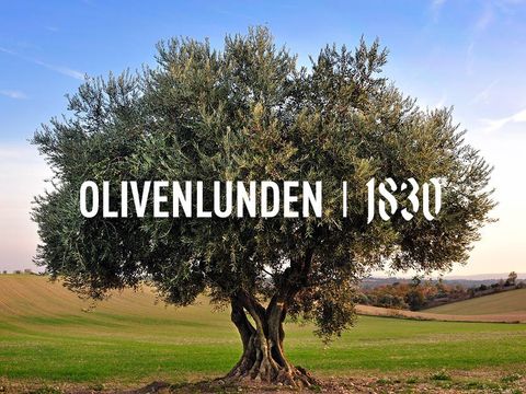 Olivenlunden 1830 logo