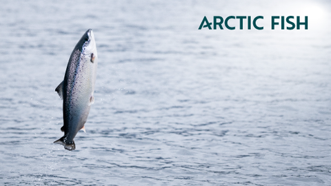 Arctic Fish logo