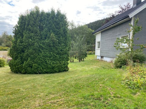 Bilde 2 av annonsen